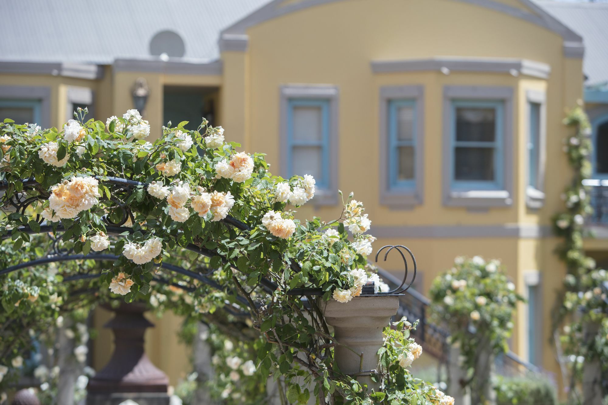 Franschhoek Country House & Villas Extérieur photo