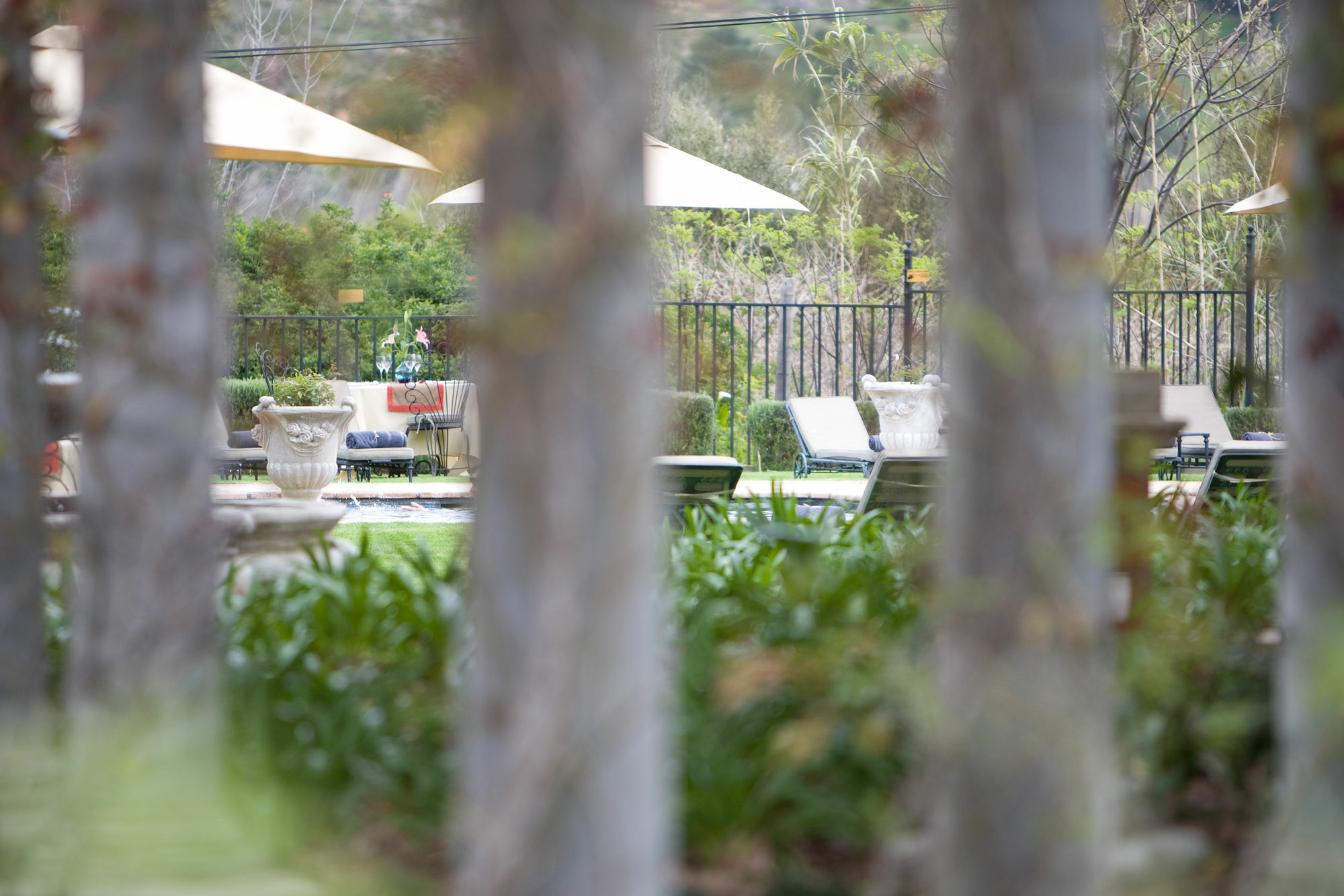 Franschhoek Country House & Villas Extérieur photo
